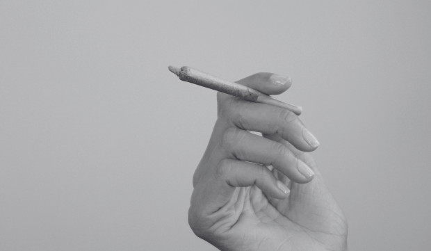 différence entre la résine de cbd et la résine de cannabis