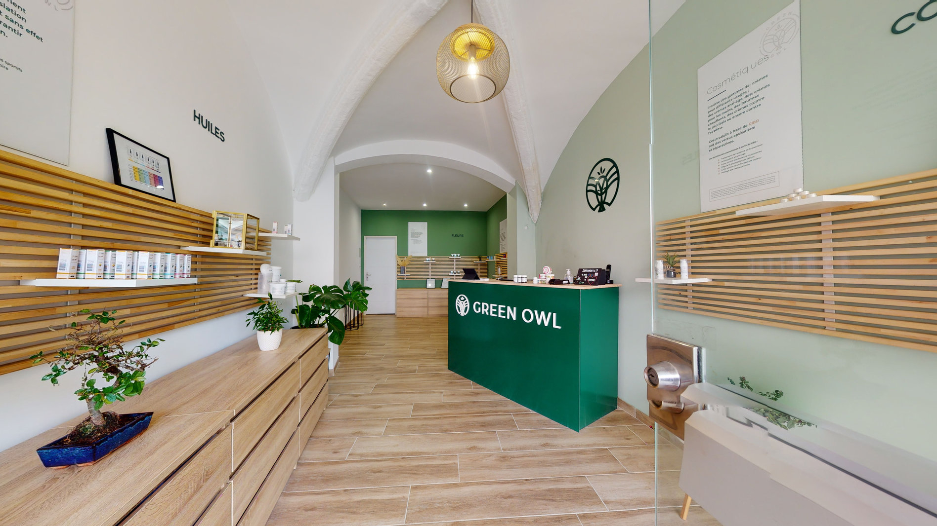 green_owl_nimes