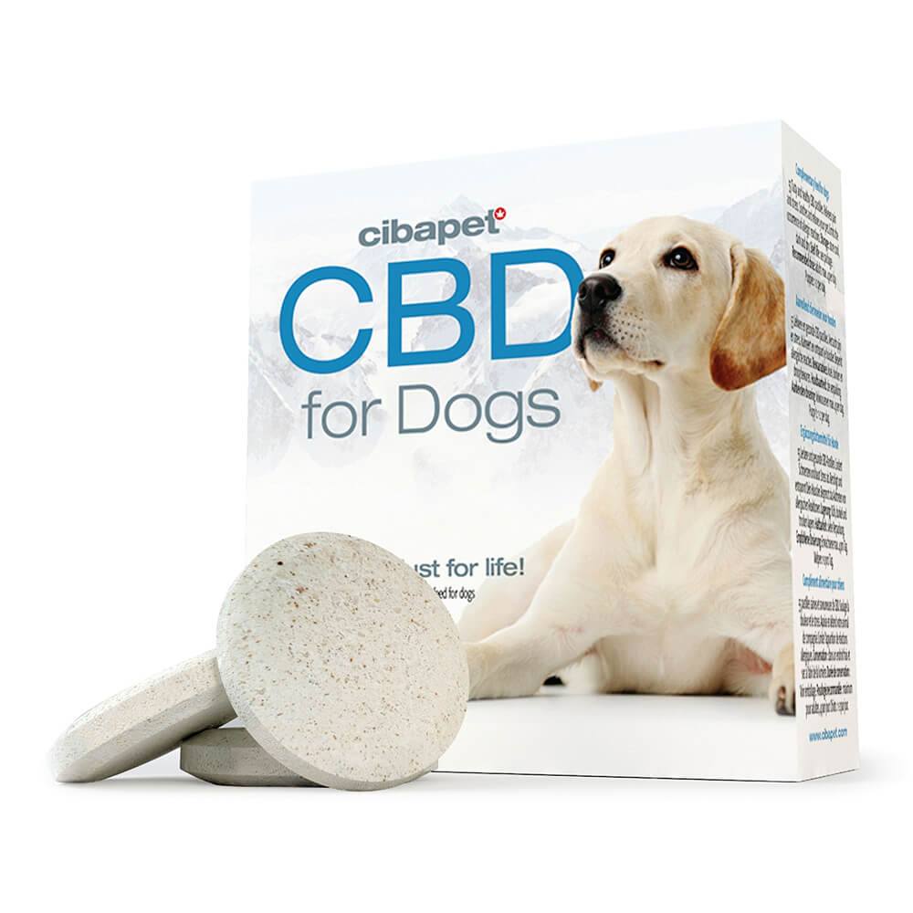Pastilles CBD pour Chien - Cibdol