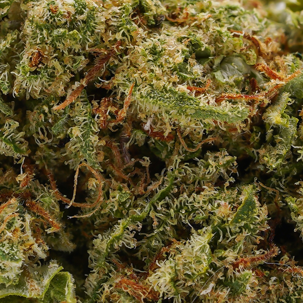 Gorilla Glue CBD 17%