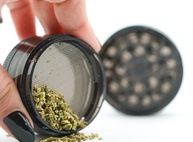 Grinder Plastique Green Owl