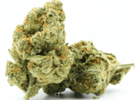 Purple Punch CBD 24%