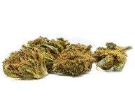 Small Bud Gelato CBD 11%